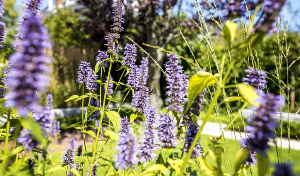 Twee-onder-een-kapwoning Aerdenhout 13